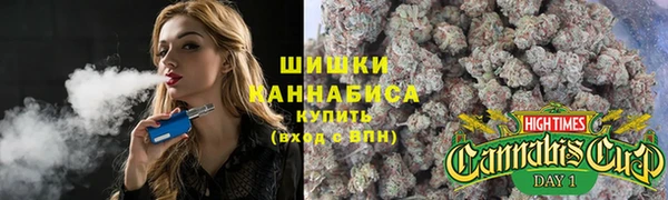 тгк Володарск